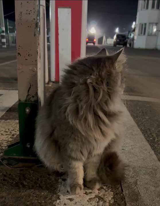 ������� ����������: ����� ���� ����� ������, ��� ���� ��� ��������� ������� � ������� �������