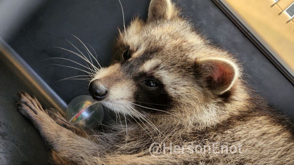 ���� �� �������: ������� ���� � �������� ��� ���� ����� ��������!