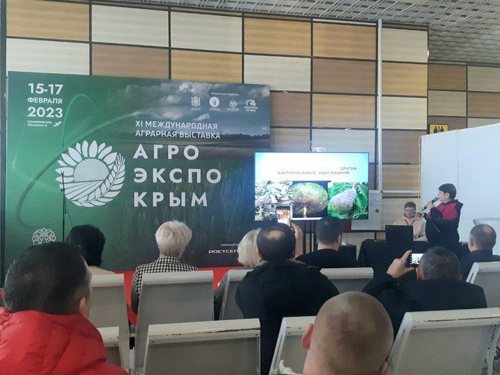 15-17 ������� 2023 � � �.����������� ������ �I ������������� �������� �������� �������������