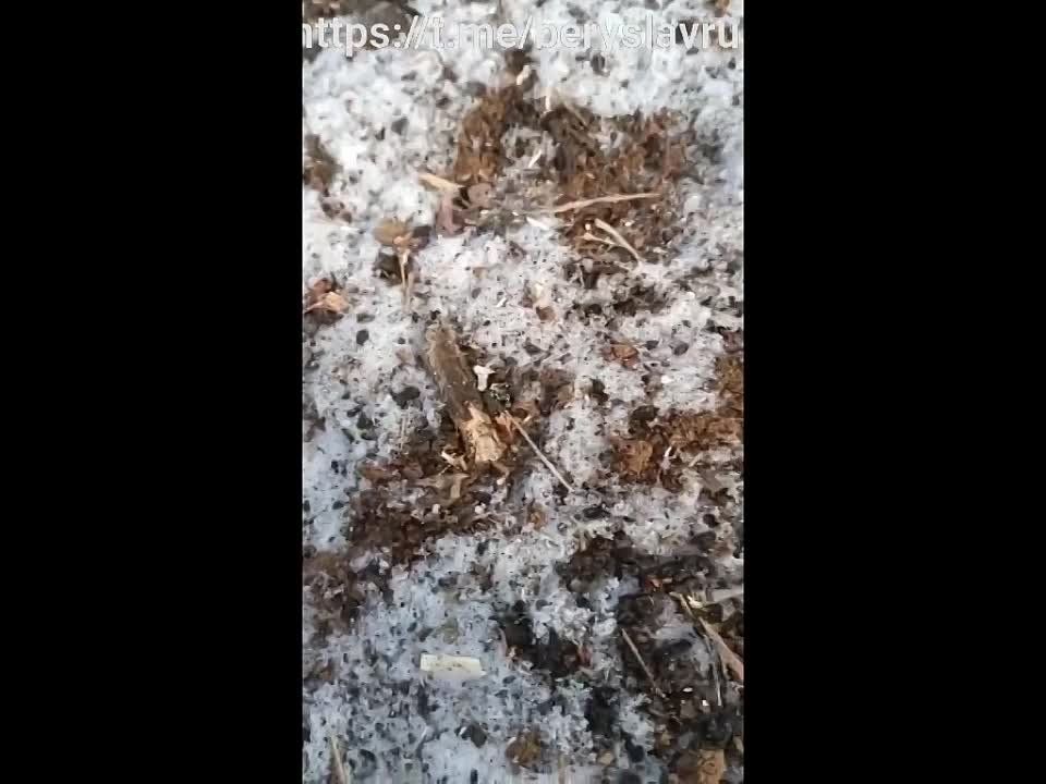 ���������� � � ���������� ����