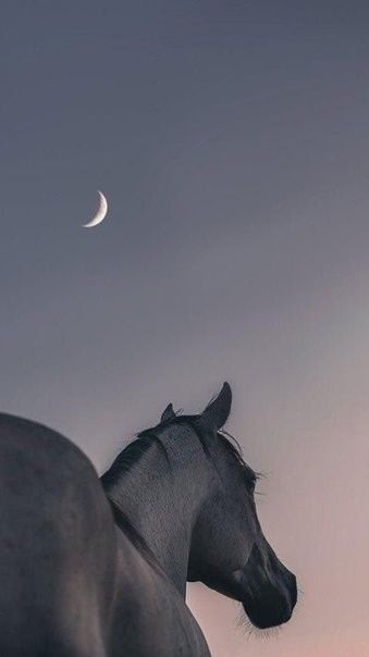 ��������� ���� ������. �� ���������� �����: