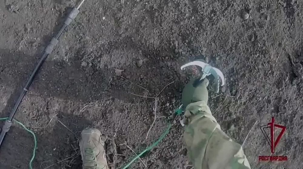 �� ����� � ������ ���������-��������� ������������� ���������� � ���������� �������