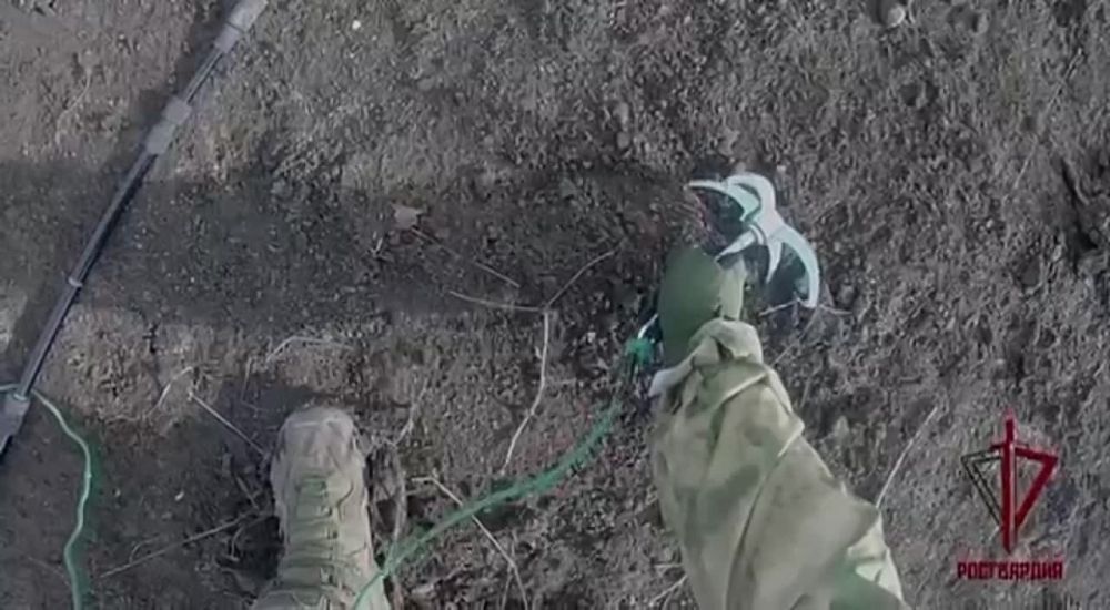 ���������-�������� ������������� ���������� �� ���������� ������ �������� �������������� ���������� � ����������� ����������