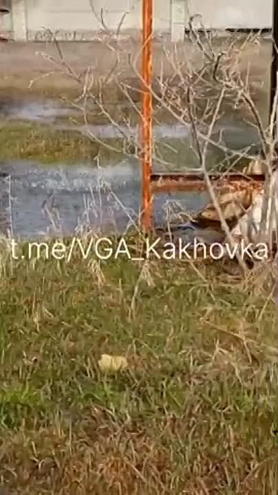 ��� ���������� ��������� �����������: