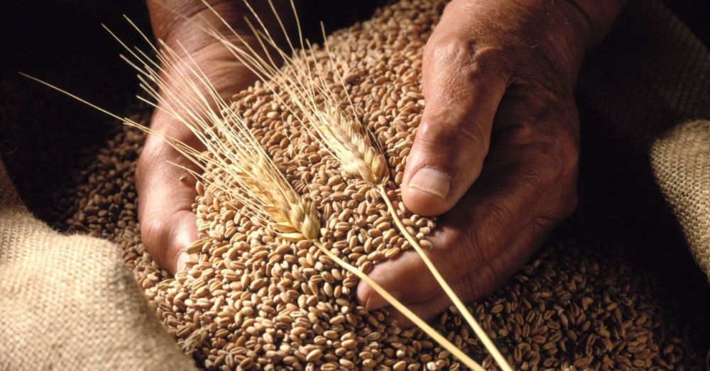 ���������� ������� ����� ���������� ������ �������������������� ������� � ������������� ����