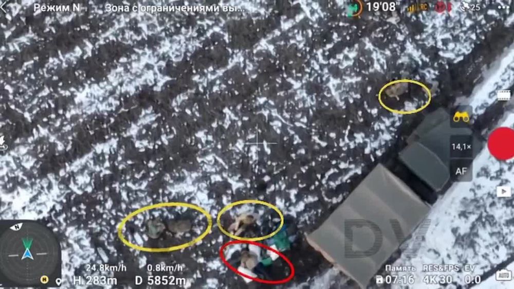 ������������� ��� �������� �������� ��� ������ ��������