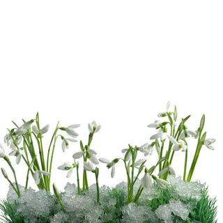 ����� ����, ������� ����, ��������� ������� �������! ����������� ���� ��� � ������������ ������� ��� �����!