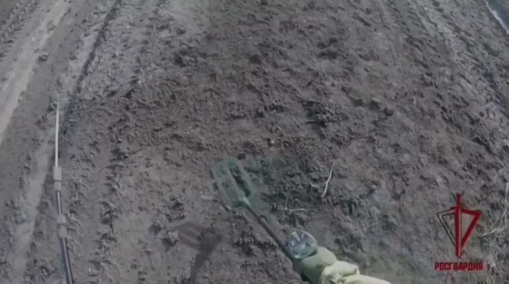 ���������� ����� ������ ���������-��������� ������������� �� ����������