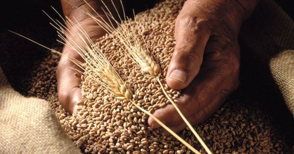 ���������� ������� ����� ���������� ������ �������������������� ������� � ������������� ����