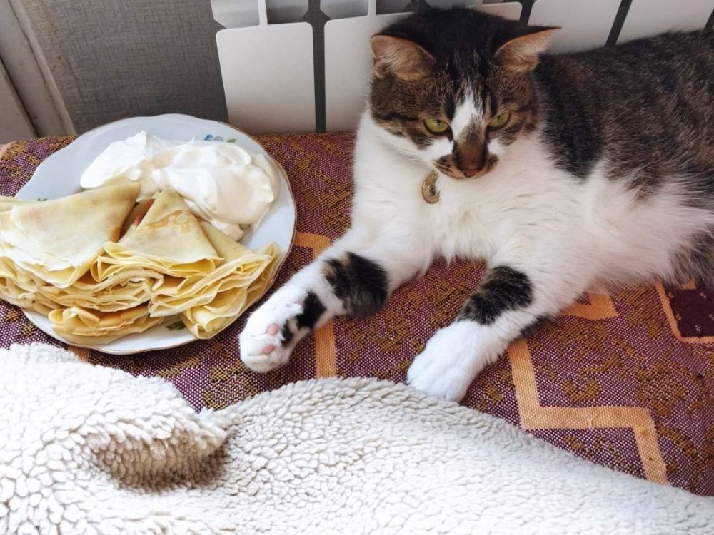 ����� ���� ��.. ���� �����, � ����쳺� � ����������� ������� �� �����. ������� ��, ���� ����-����, �� ���� ������, ������� �����, �� ������� ���� �������