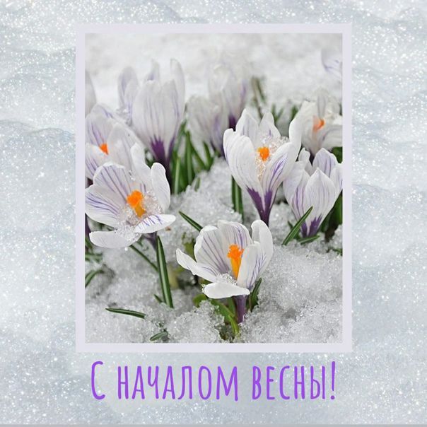 � ������ ���� �����!. ����� ������ ������ ������, ������ ������ ���� � ��������� ����� ������! ������ ���� �������� ��������...