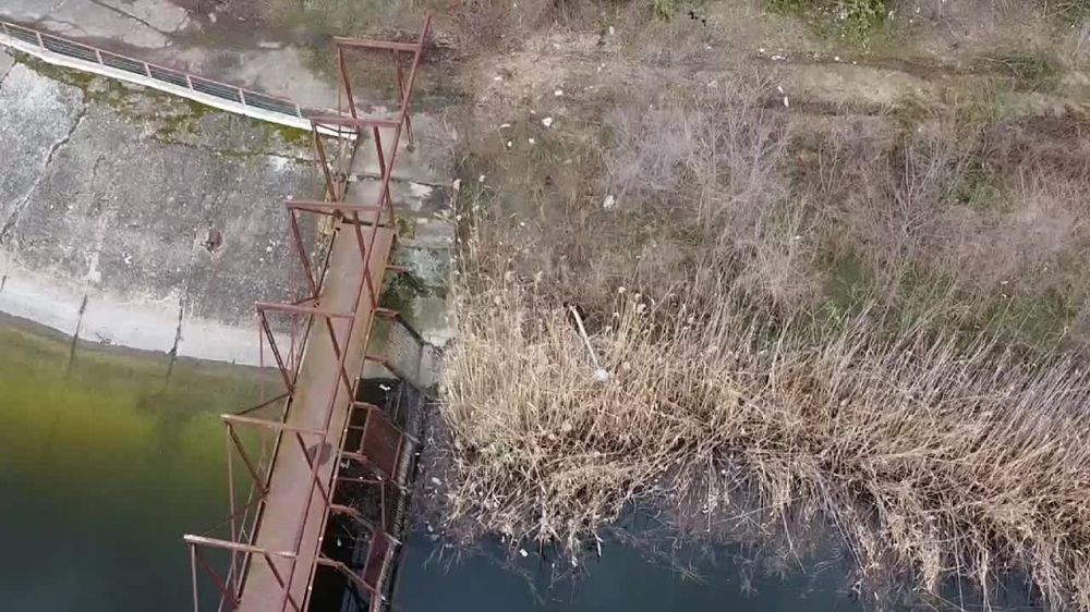 � ������� ���������� ������� ��������� 55-������ ������ ���� ����������� ����������� �������������� ������, ������� ��������� ��������� �� ���������� ������ � �������� ������� ������� ���������