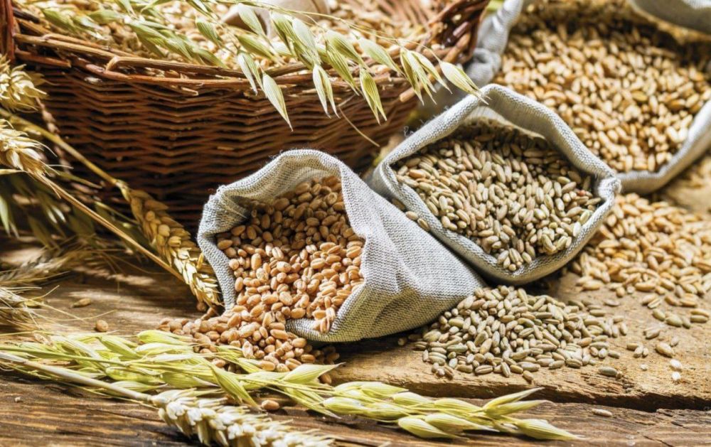 �������� ���������������������