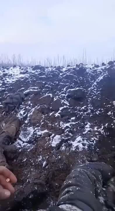 ���� �������� ��� ���������: "����� �****�