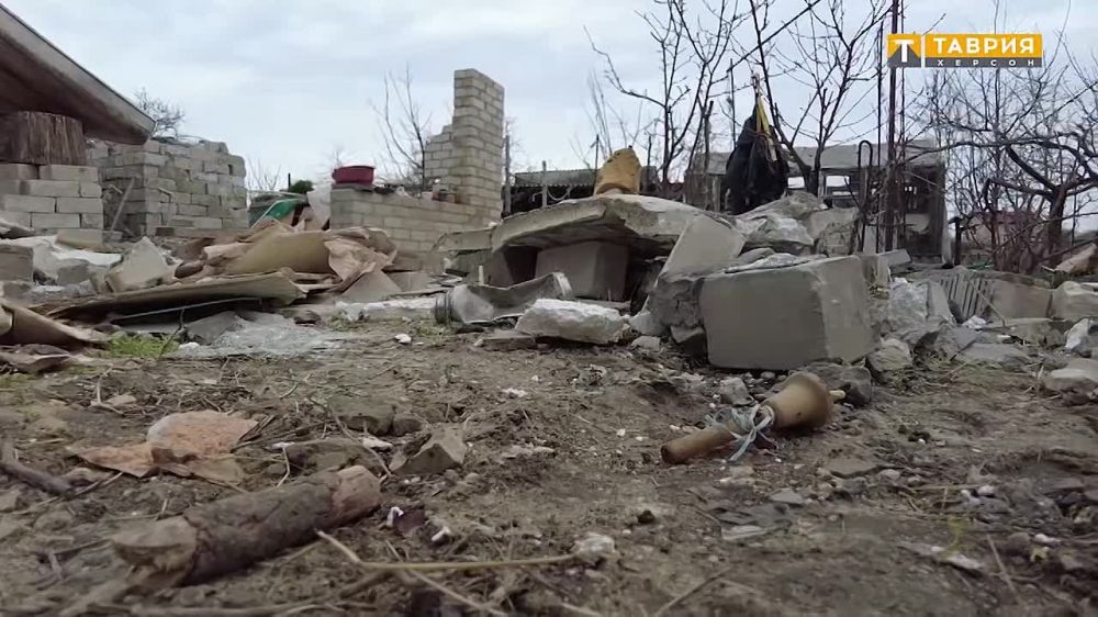 ������-����������� ������������� ������ ������ ���������� ��������, �������� �� ���������� �������� �� ������� ���