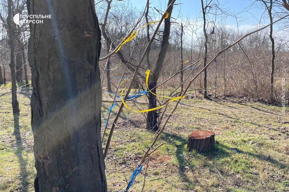 ��������, ����������, ������� ������� ������ ������.