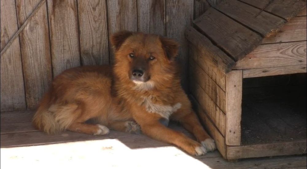 � ������� ������ ������� �������� �������� ��������