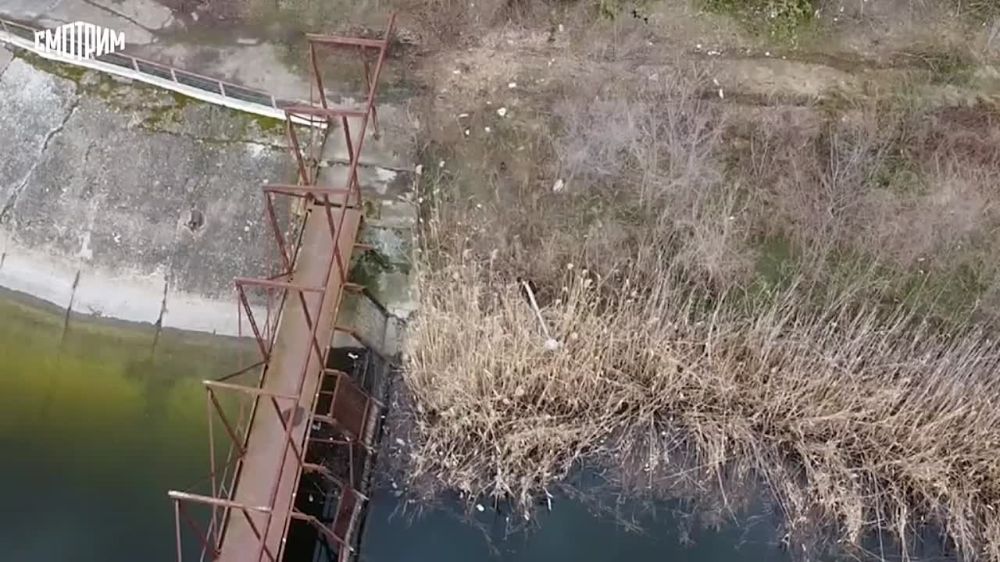 ������ ���� ����������� ���������� ������� ��������� �������� �� ����������� ������ ��������������� ������ �� ������� ��������� ���� "����"