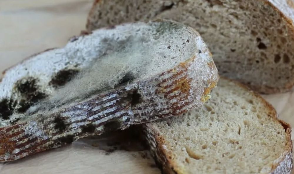 �������� � ���� �� ���������� ����������������� ����������