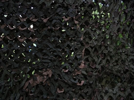 ���������� ��������� ����������� ������ �������������� � ����������� � �������������� ������