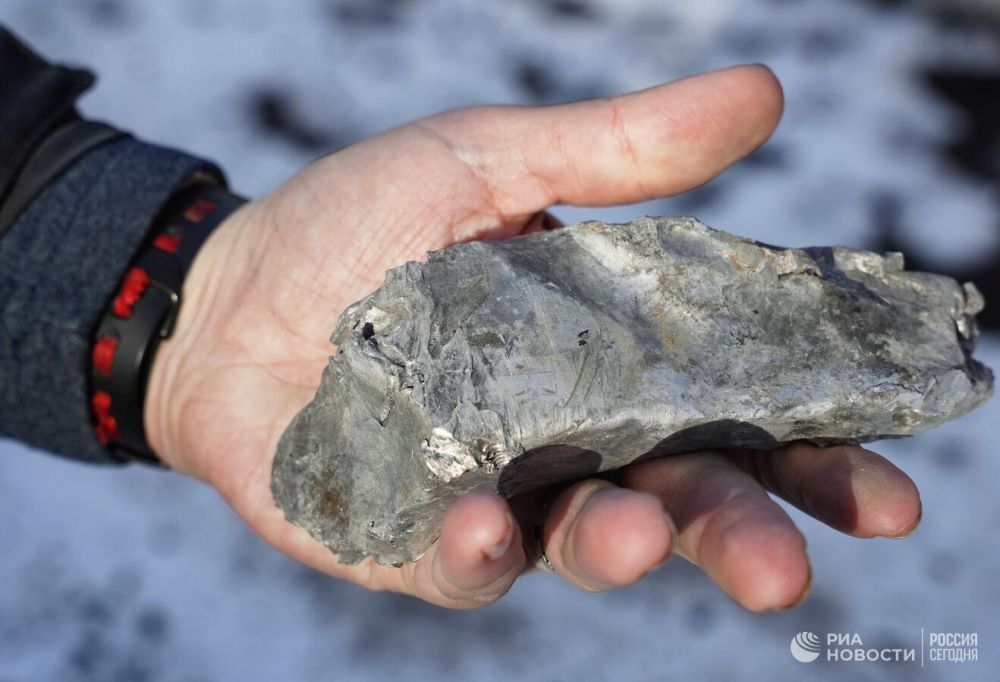 ���������� ���������� ���������� ���� �������� � ���������� �������