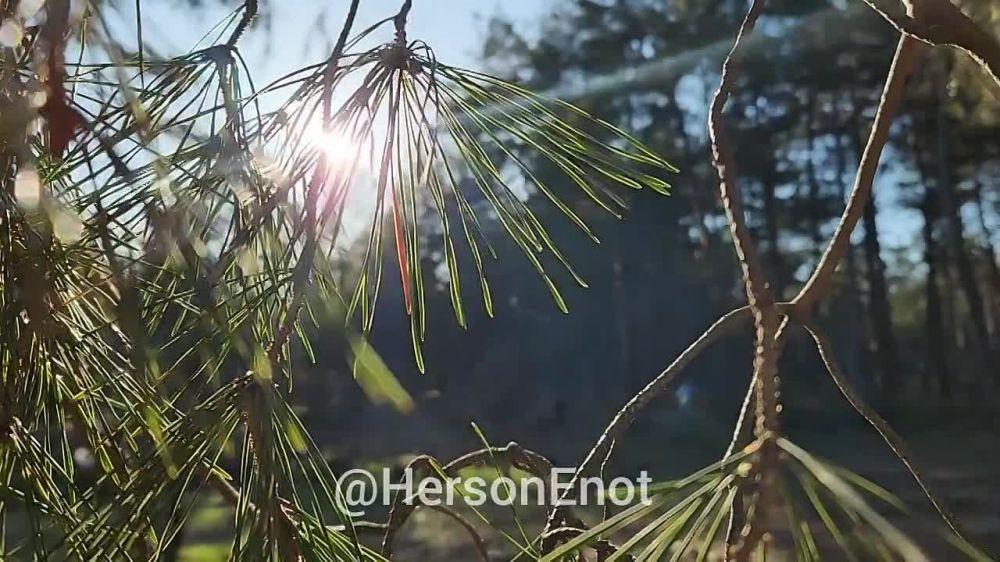 ���� �� �������: ������� ����� ������� ��������� ����� 6�50 � 6�34