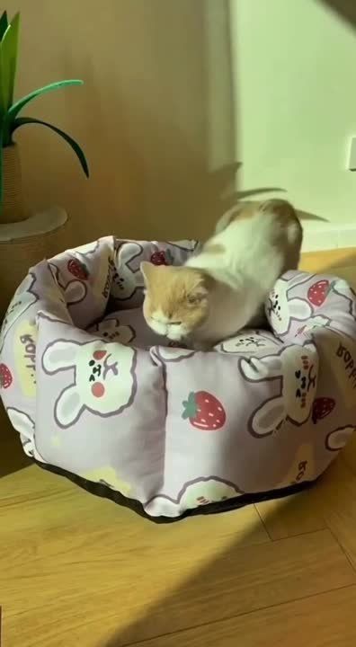 ������ ����� ����!