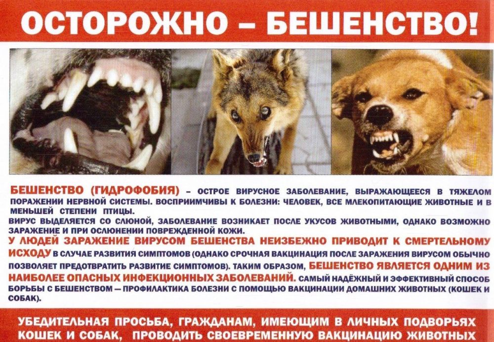 ��������� �������������� ���������� ������� �����������