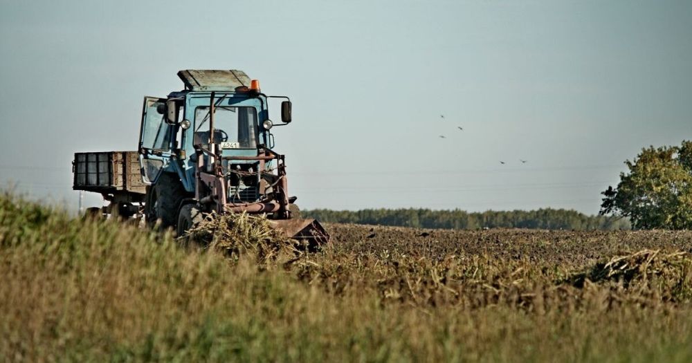 �� ���������� ������ ��������� ������ �� ������������ ����������������� ���������