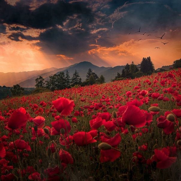 ��������� ���� ������