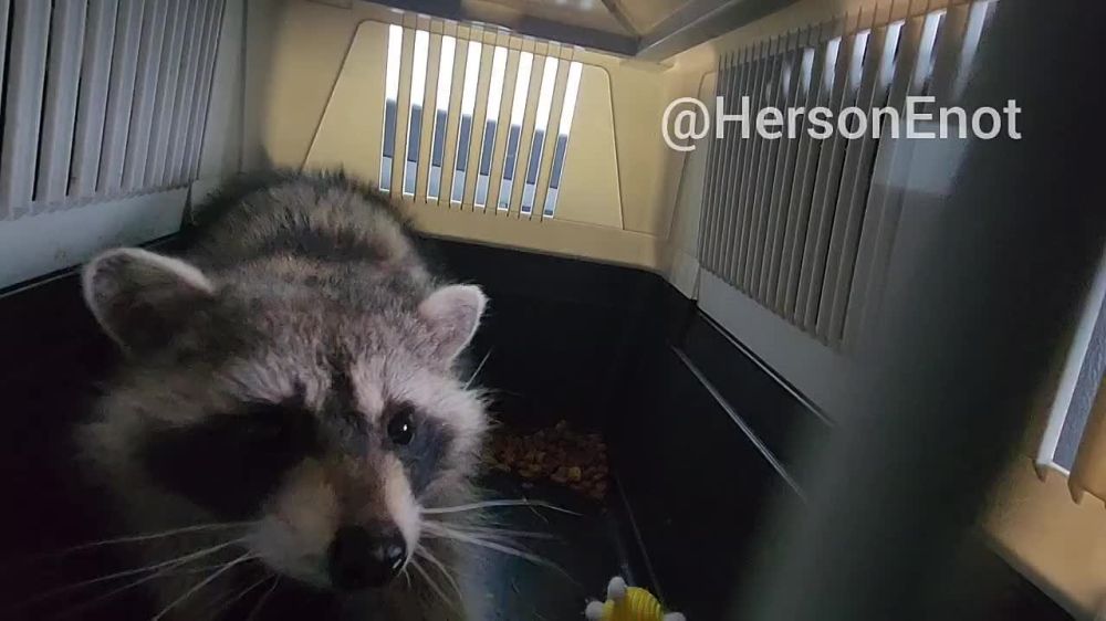 ���� �� �������: ������, �������� ��� ���!