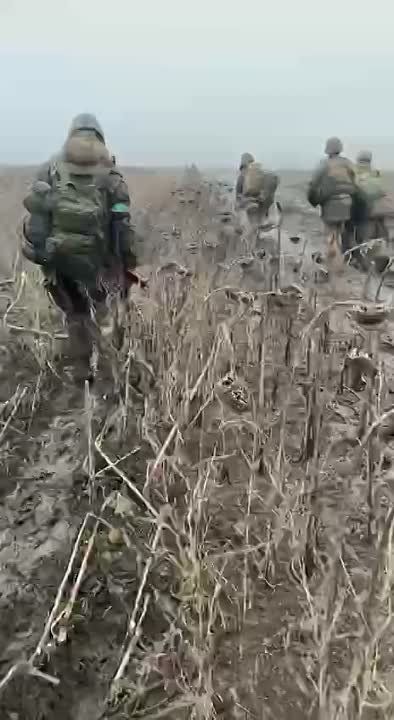 ������������ ����� ������� ����������� �� ������� �������������� ���������� �������������