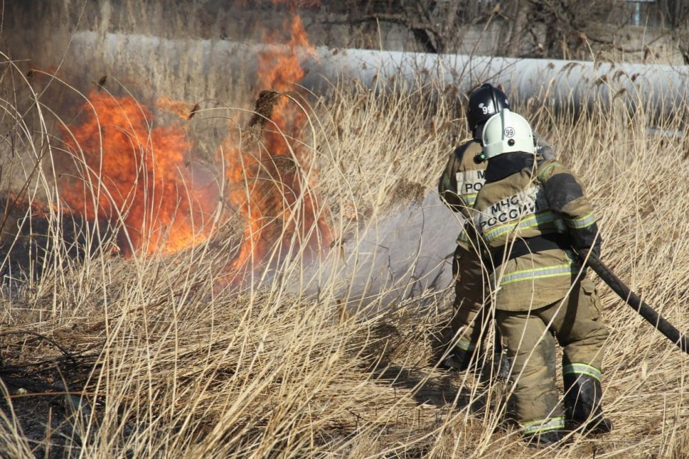 �� ��������� ����� �� ���������� ���������� ������� ��������� ��� ������ ������������ ��������� � ��� ����������