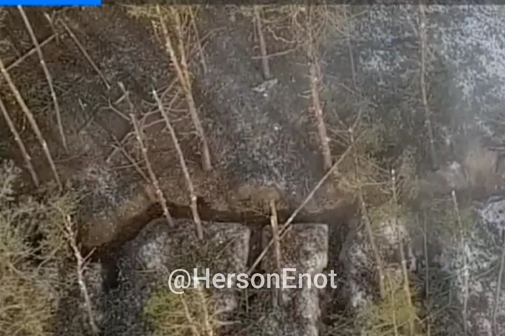 ���� �� �������: ������ ��������� �� ������ �������� ��� ���������