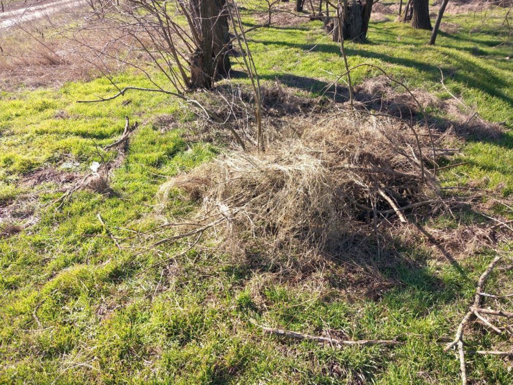 � ���������� ������� ����������� ����� ������ � ������������ � ����������� ���