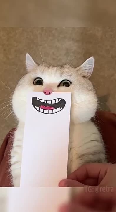 ������, ������ ������ �� �������