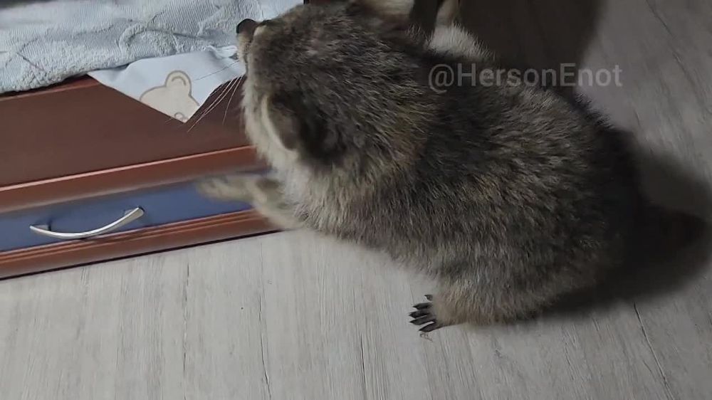 ���� �� ������� ������ �������� ���������� �� ��������� �����������