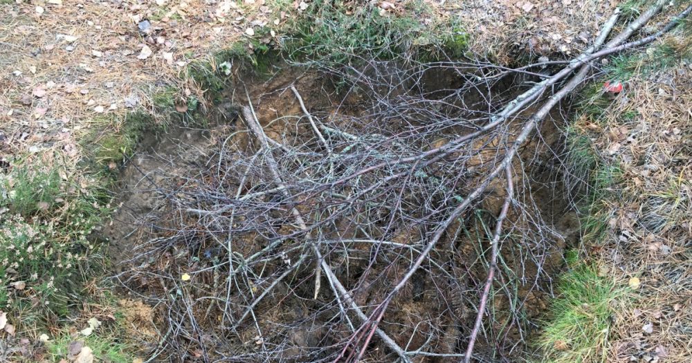 �������� ���������� ����� ����������� ��� � ���������� �������