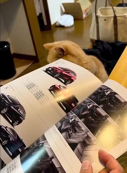 �����! �� ��������� -�����, ������� � �����, �����-���