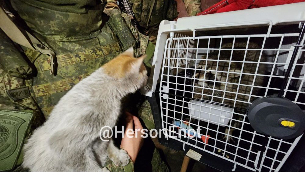 ���� �� �������: ��, �� � ����� ������� ���