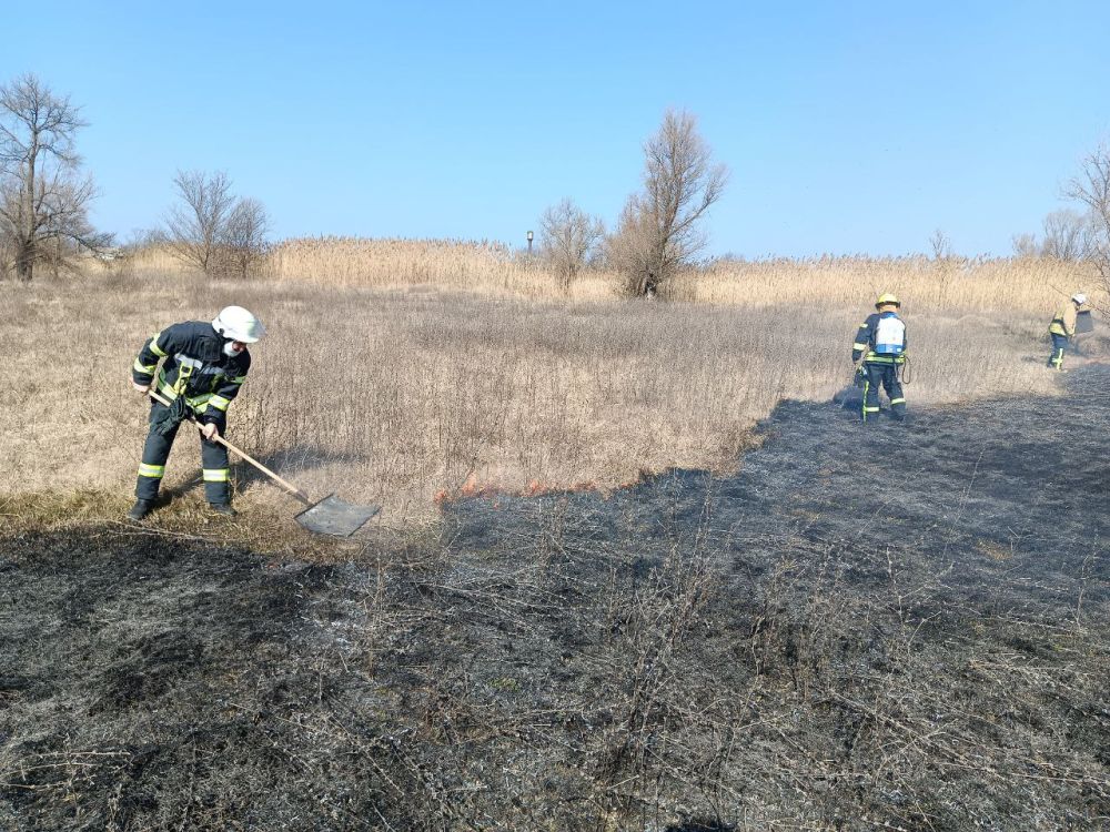 �� ��������� ����� �� ���������� ���������� ������� ��������� ��� ������ ���������� ���������