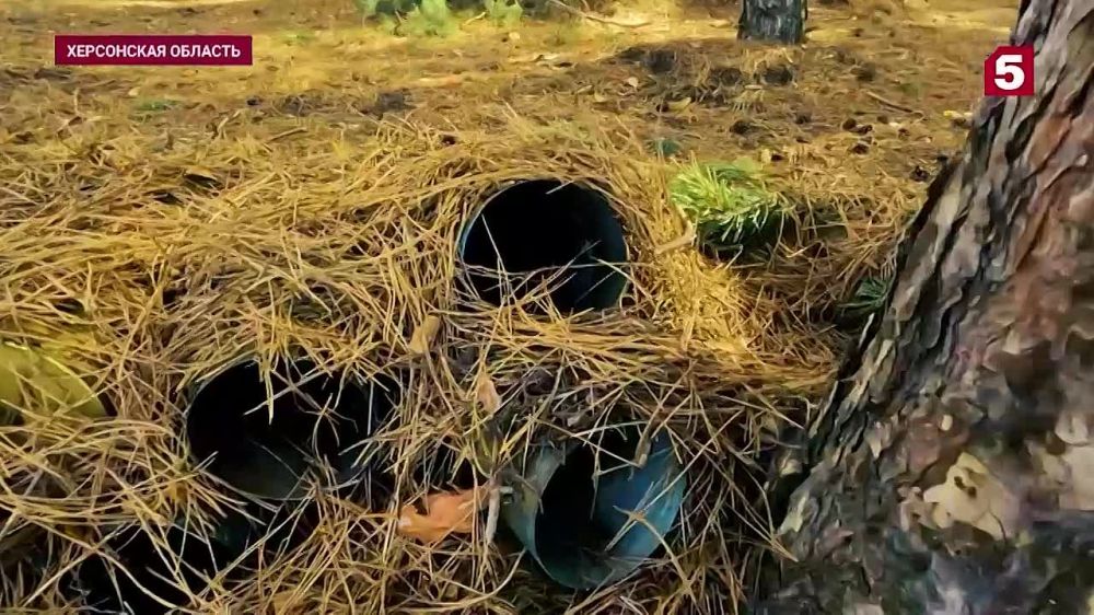 �������� ������� ����������� � ������ ������ ������ � ������ ����� ������ � ���� ���