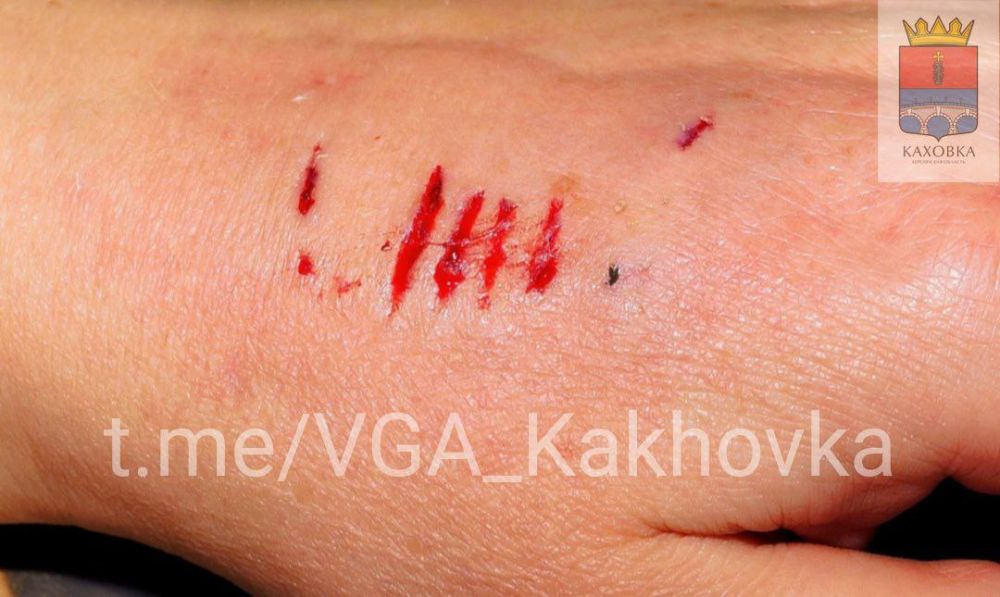 ��� ������, ���� ������� � ������������ ������� ���������� �������� ���������