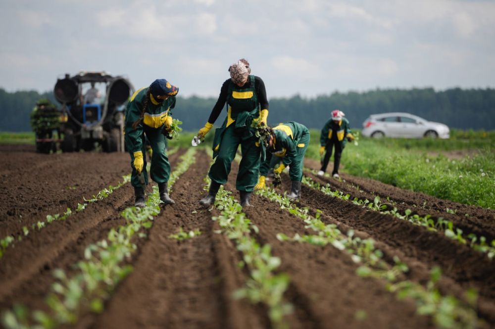 ������������ �������� ������� ����� ����������� �� 18,6%