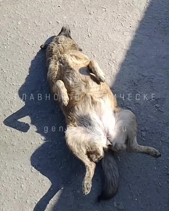 �� ������! ����� ��� ������� �����������