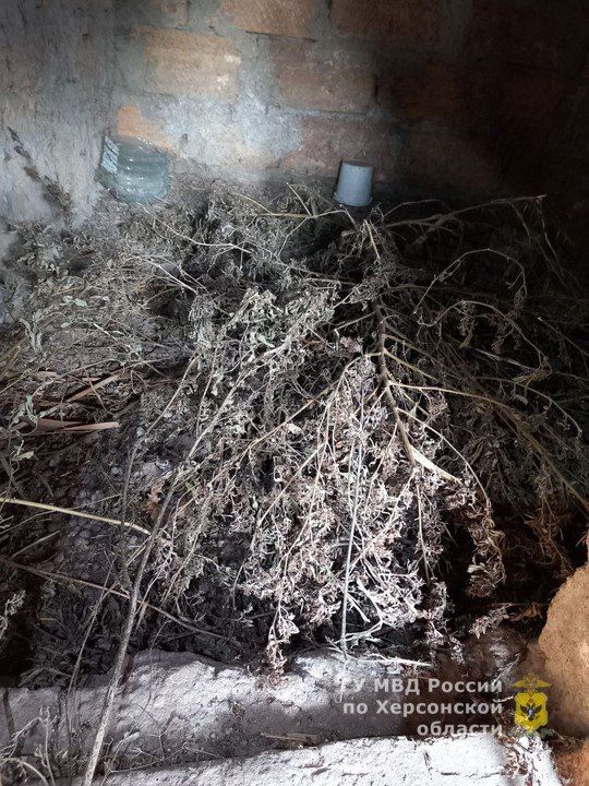 � ��������� ����������� ������ ��������� ������ ���������