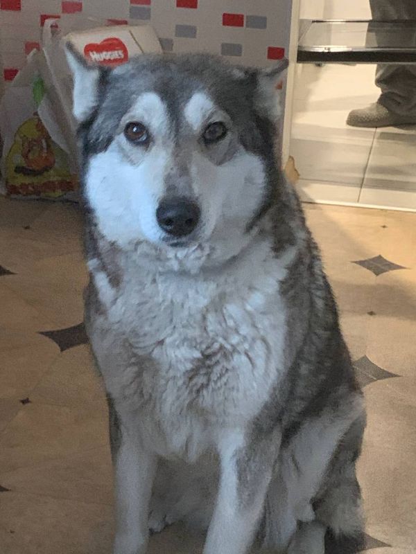 #��������. ������� ������ ����� �����