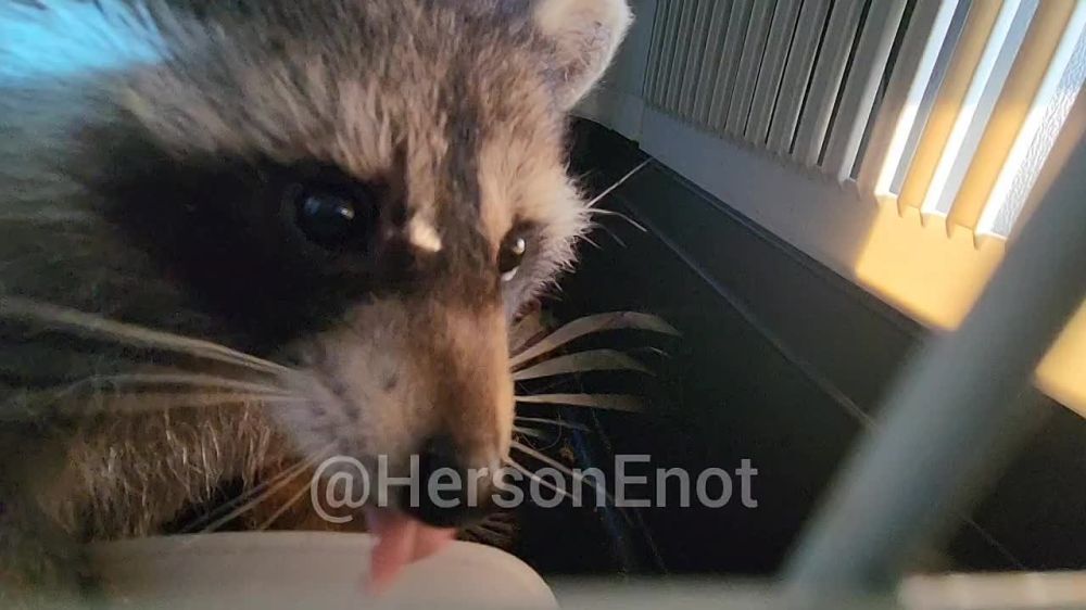 ���� �� �������: ������� ���� � �������� ���! �� ������� ��������, ���������� ��������� � ��� ���, �� ����� ������ ������ �������