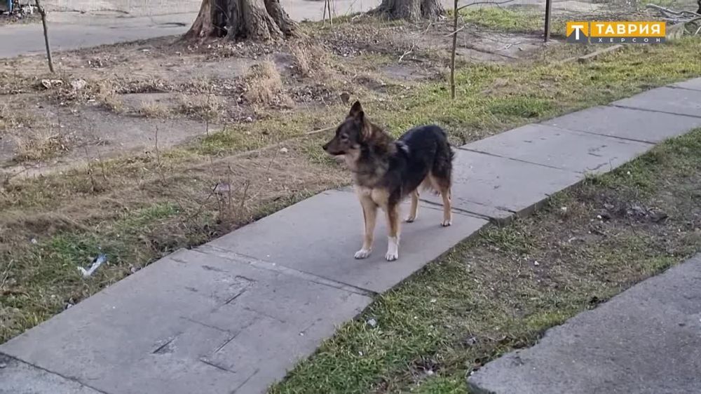 � ������� ����� ���� ������ ������������ �����