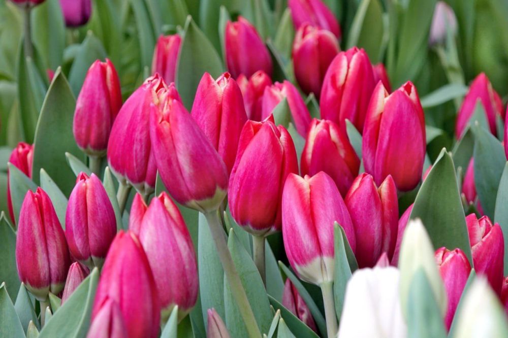 � �� �����, ��� �������� 8 ����� ���������� ���� ���������?